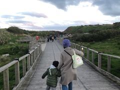 -企鹅岛