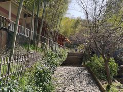 -宁波浙东大竹海景区