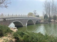 -大兴滨河森林公园