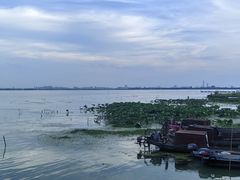 -七的湖·晚芳亭·阳澄湖农家菜·大闸蟹(莲花岛店)