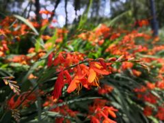 -西湖风景区-江洋畈生态公园