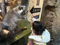 -哈尔滨波塞冬海底世界