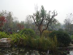 -武清南湖绿博园