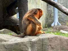 -大连森林动物园