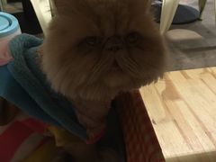 -小时光咖啡馆(开森度假森林店)
