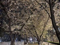 -龙美术馆西岸馆-停车场