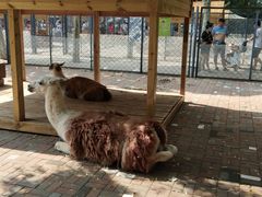 -长白岛森林公园