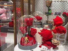-ROSEONLY诺誓(磐基中心店)