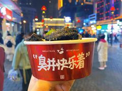 黑色经典长沙臭豆腐-黑色经典臭豆腐·湖南特产(坡子街店)