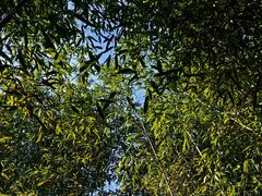 -恭王府博物馆