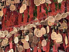 -黔灵山公园
