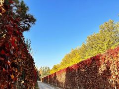 -春晖园度假酒店温泉