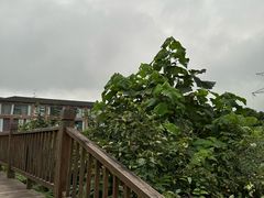 -道教老君洞