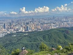 -长虫山生态公园风景林