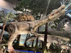 -湖南省地质博物馆