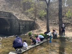 -白水寺森林公园