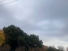 -圩墩遗址公园