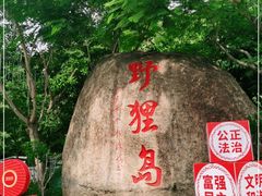 -野狸岛