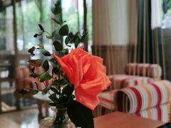 -ELI FALAFEL Lebanese&Mediterranean黎巴嫩美食(富城路店)