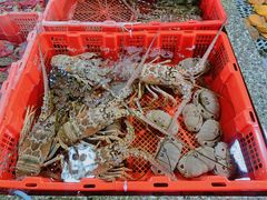 -霞涌市场海鲜摆卖区
