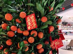 -茗鼎汇(星方汇广场店)