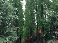 SS-上海怡沁园度假酒店