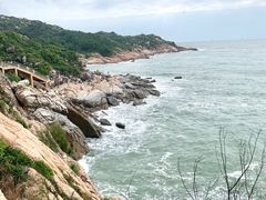 -广东惠东海龟国家级自然保护区
