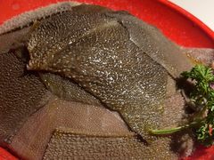 -二荆条·蜀鲜汇城市森林火锅