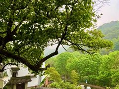 -素描餐厅(灵隐天竺店)