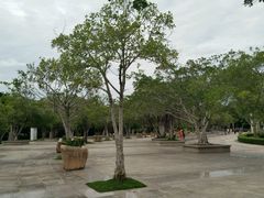 android_upload_pic-白鹭洲公园