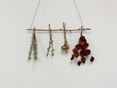 -Miette制菓所