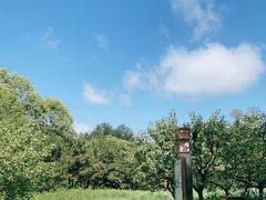 -翠湖国家城市湿地公园