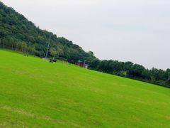 -羊山湖公园