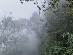-少华山国家森林公园