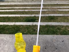 -滆湖低碳生态公园