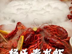 -杨氏青龙虾·羊蝎子(金盛路总店)
