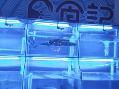 -日食记精菜馆(建邺万达店)