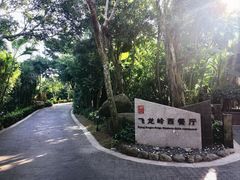 -三亚亚龙湾人间天堂鸟巢度假村