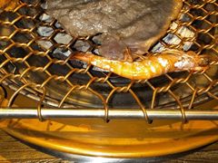 -农乐园炭火烤肉(世茂店)