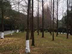 -成都南湖公园