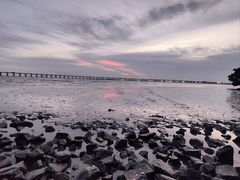 -宝安西湾红树林湿地公园