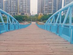-五缘湾湿地公园