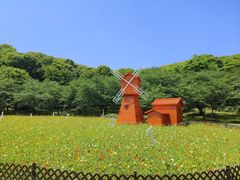 -苏州上方山国家森林公园