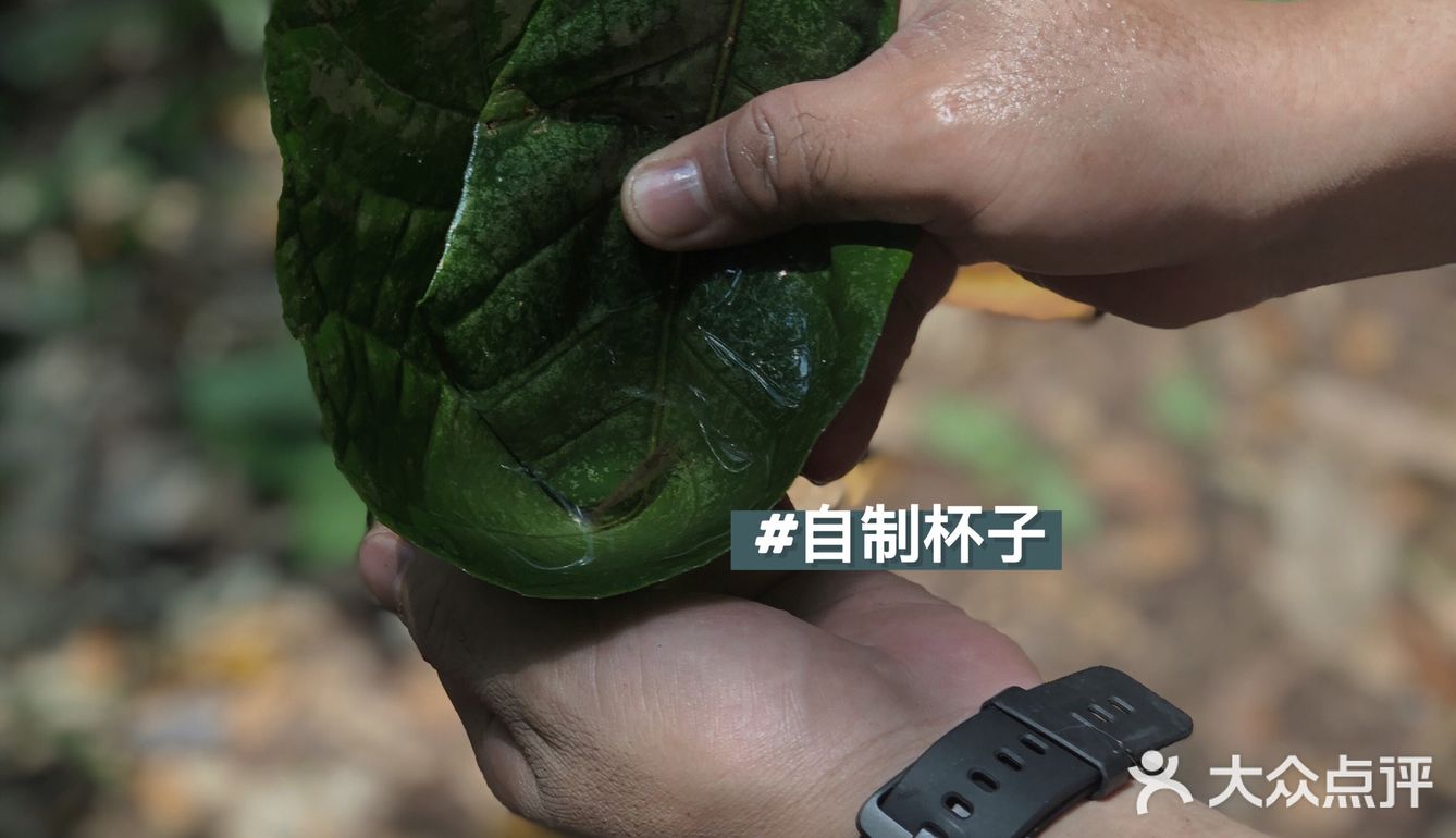 西双版纳小众玩法｜穿越到雨林里吃大餐🍃