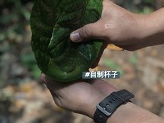 -西双版纳基诺山寨