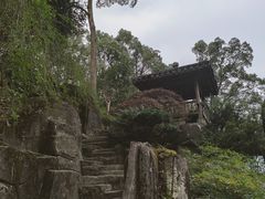 -南山植物园