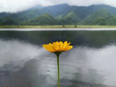 -大九湖