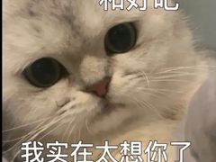 -好心里咨询Tarot塔羅