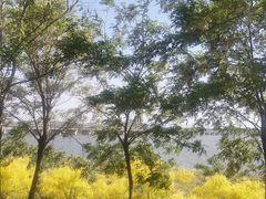 -西青郊野公园