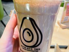 -油梨树AVOCADO TREE(嘉里中心店)